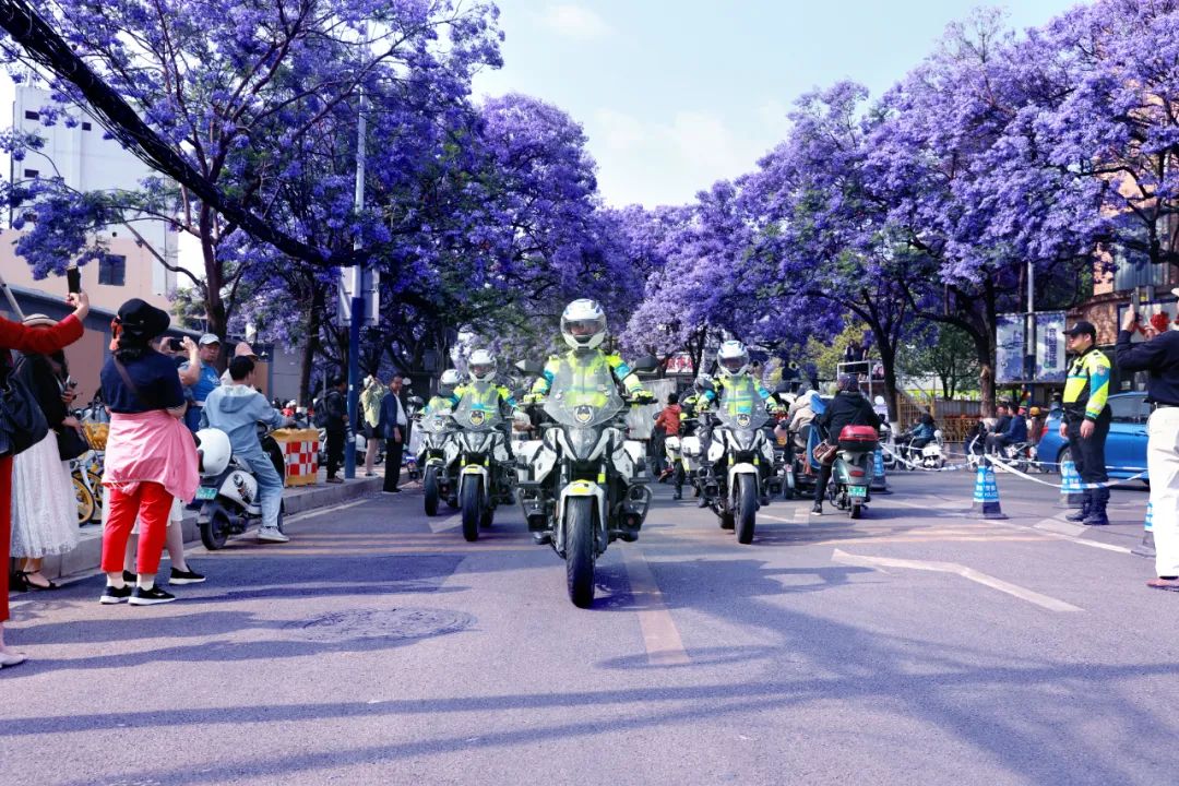 “警景相随·平安夏楹”，昆明公安邀您共赏蓝花楹！